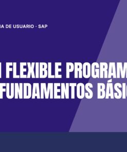 Curso SAP Fiori Flexible Programming Model - Fundamentos Básicos