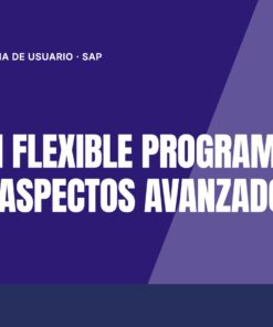 Curso SAP Fiori Flexible Programming Model - Aspectos Avanzados