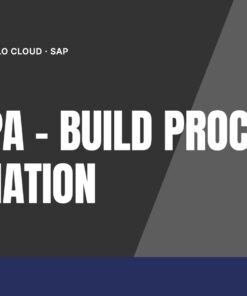 Curso SAP BPA - Build Process Automation