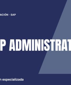 SAP BTP Administrator